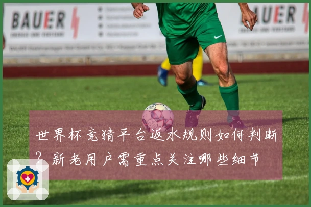 世界杯竞猜平台返水规则如何判断？新老用户需重点关注哪些细节